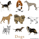Dogs
